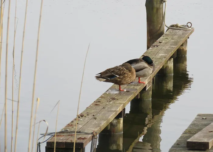 Bunte Ferienhaussiedlung *